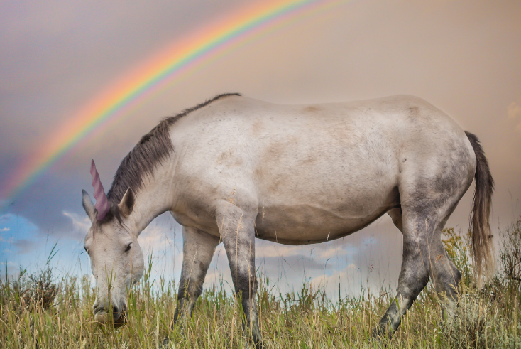 In search of unicorns: consumer insight could be the secret to success