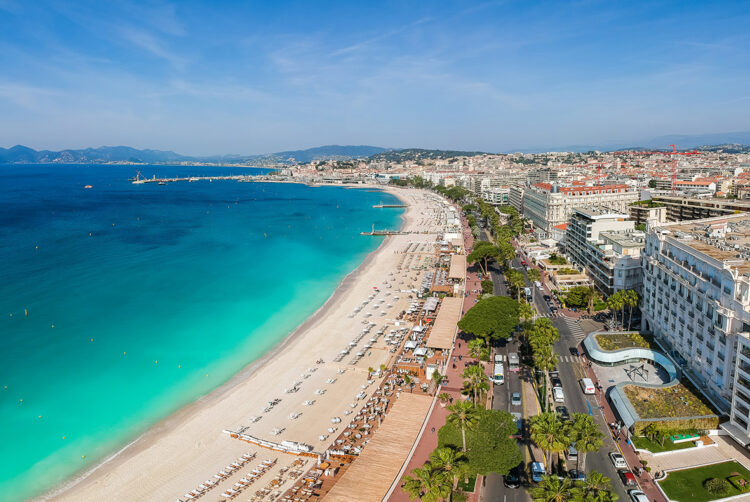 How do you ensure your team have a responsible Cannes?